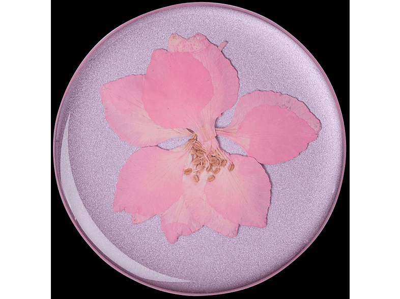 Pressed - Pink Delphinium PopGrip Flower Premium
