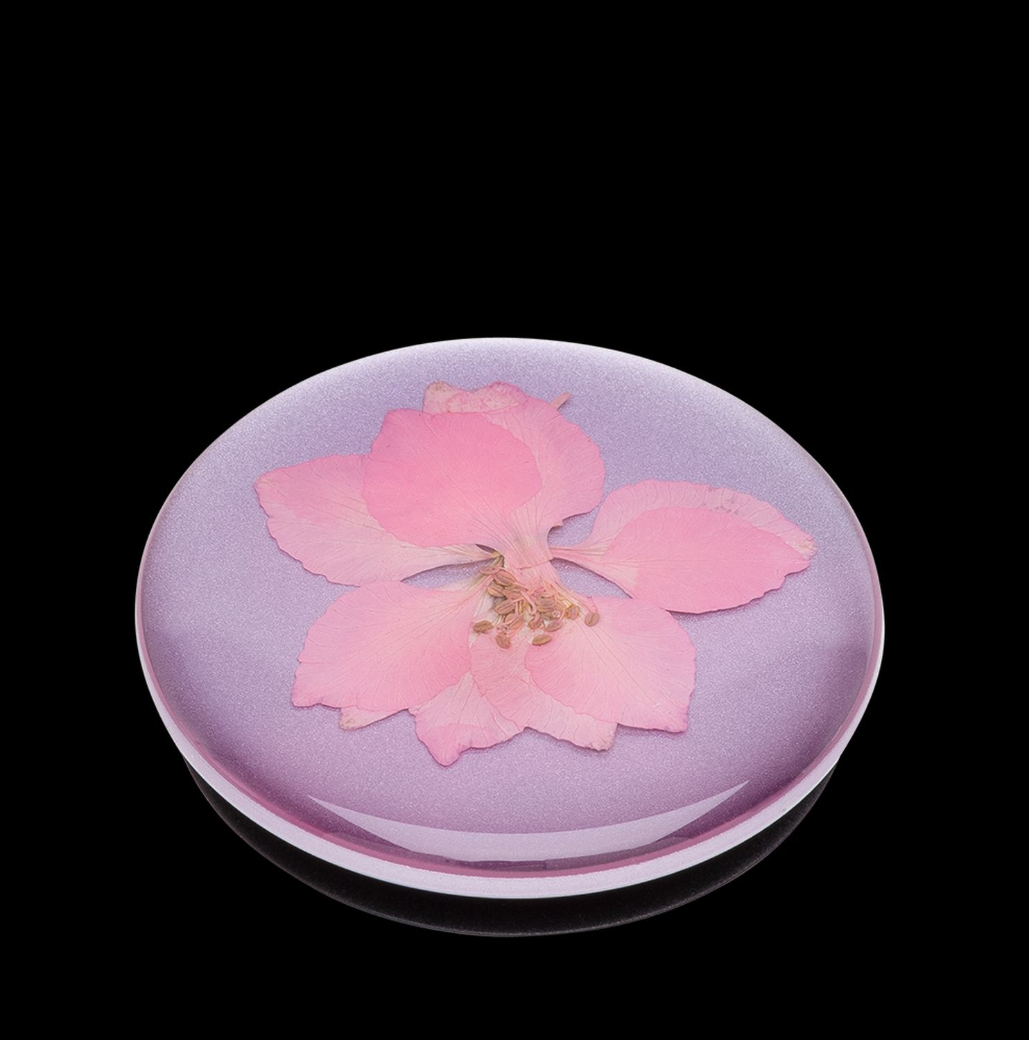 Pressed - Pink Delphinium PopGrip Flower Premium