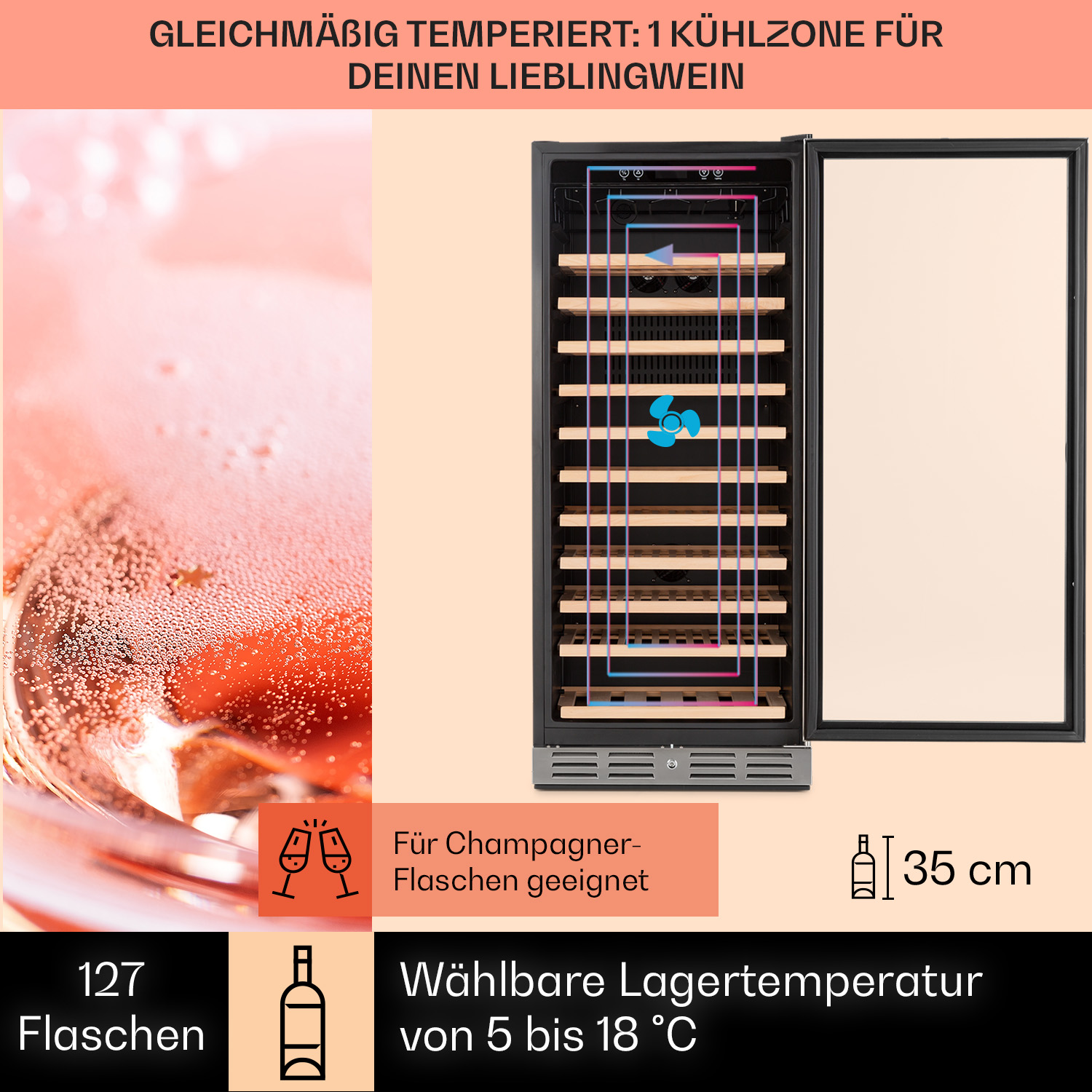 Frigorifero per vini con bottiglie all'interno. Testo su temperatura, capacità e champagne.