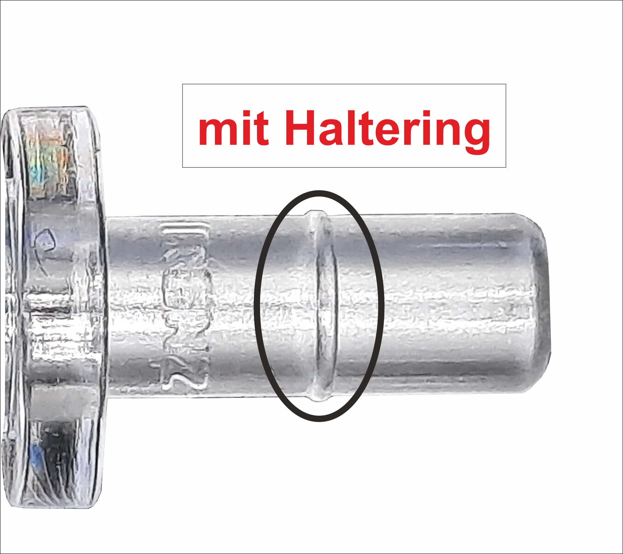 Eine Metallschraube mit Ring, hervorgehoben durch einen schwarzen Kreis, Text: 'mit Haltering'.