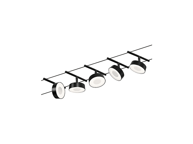 PAULMANN - PLAFONIERA A LED CON FINOCCHIO CROMATO OPACO - LUCE BIANCA Calda 3w 12v Led 53379214