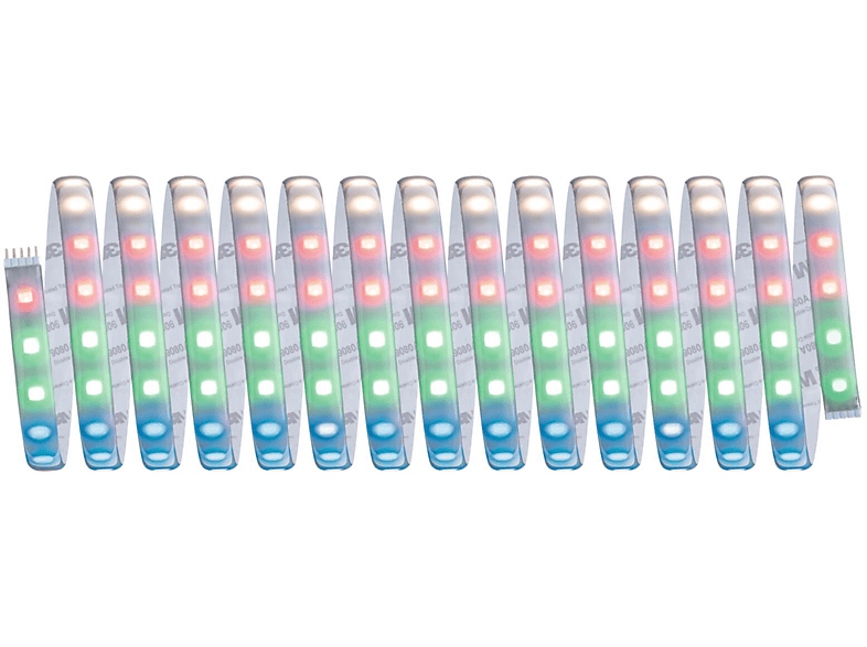 RGBW|Tunable LICHT MaxLED White LED Farbwechsel (78885) 500 PAULMANN Strips