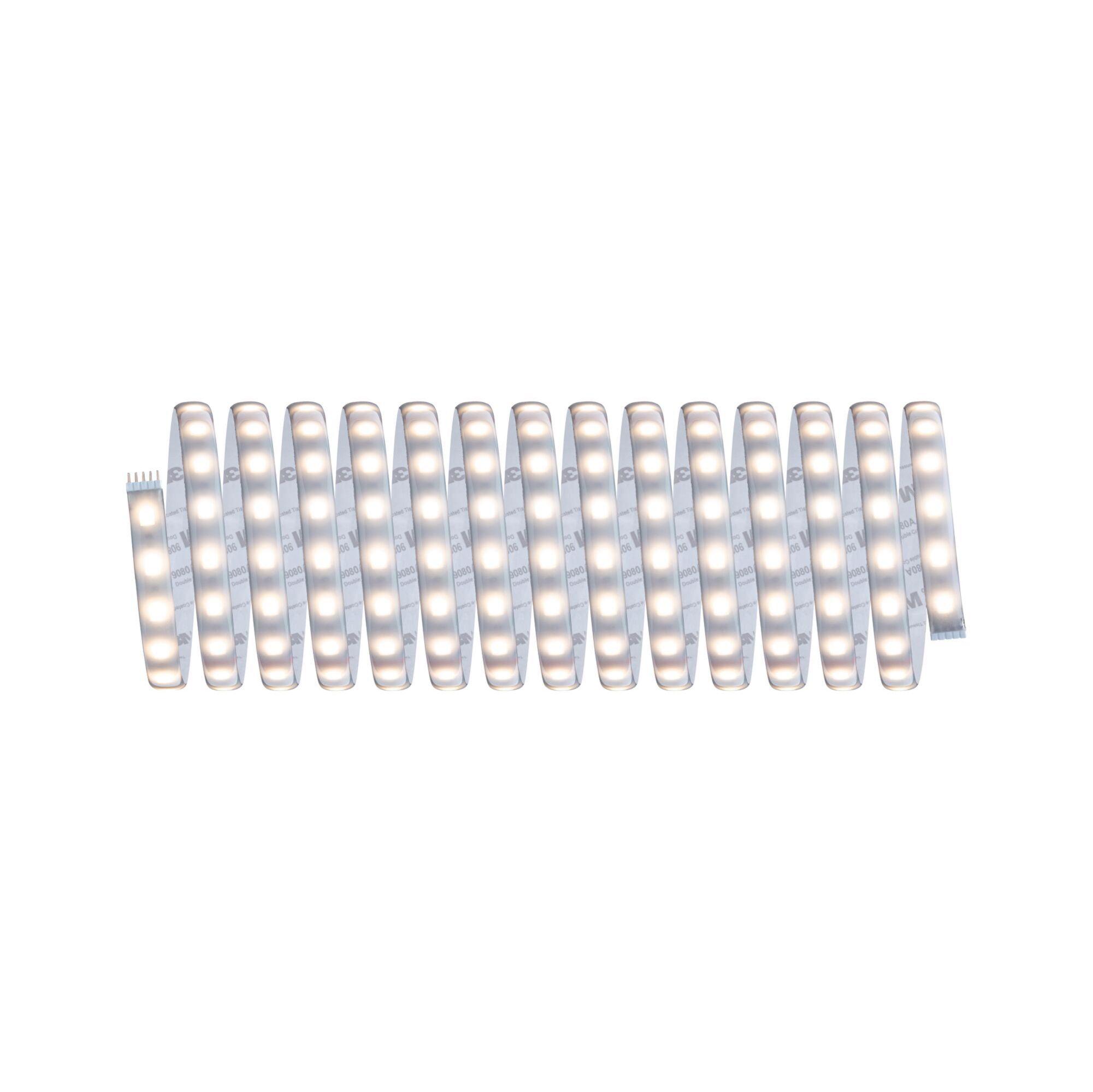 MaxLED Strips Farbwechsel (78885) LICHT 500 White PAULMANN LED RGBW|Tunable