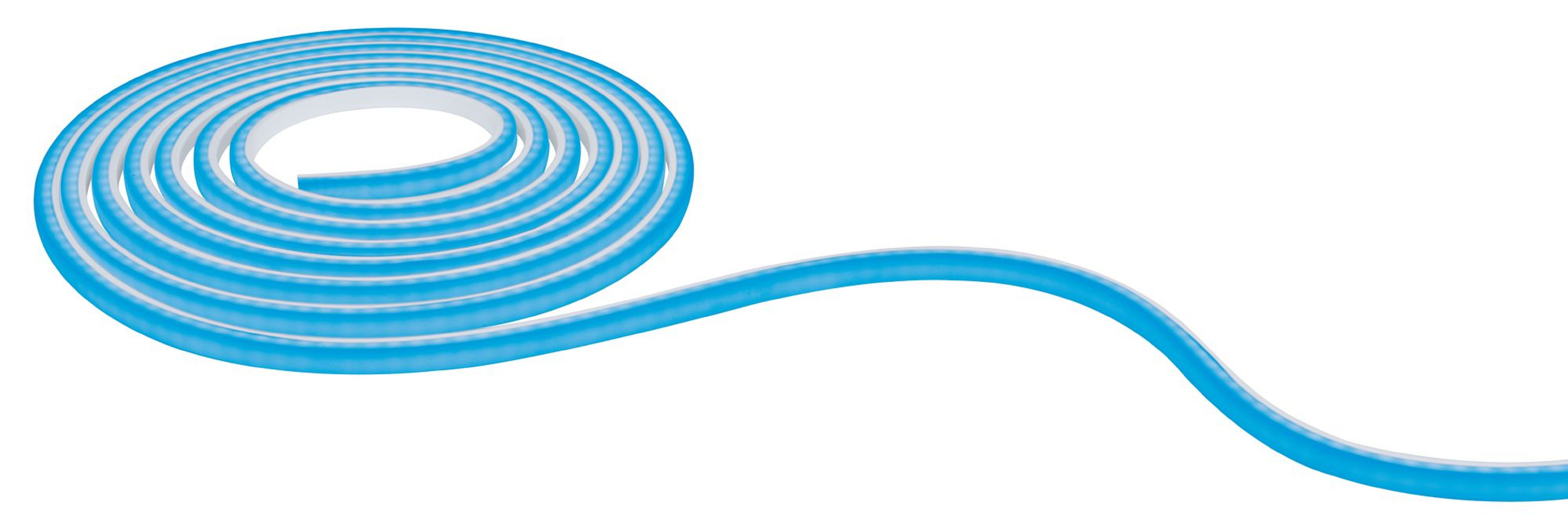 Eine aufgerollte, blaue Neon-Lichtleiste auf weißem Hintergrund.