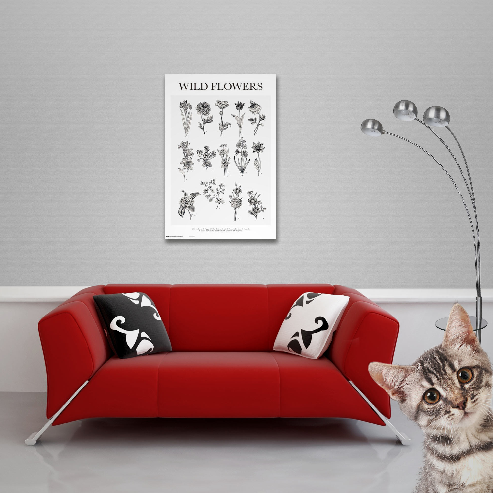 Eine rote Couch mit einem Poster von Blumen dahinter. Eine Katze schaut in die Ecke.