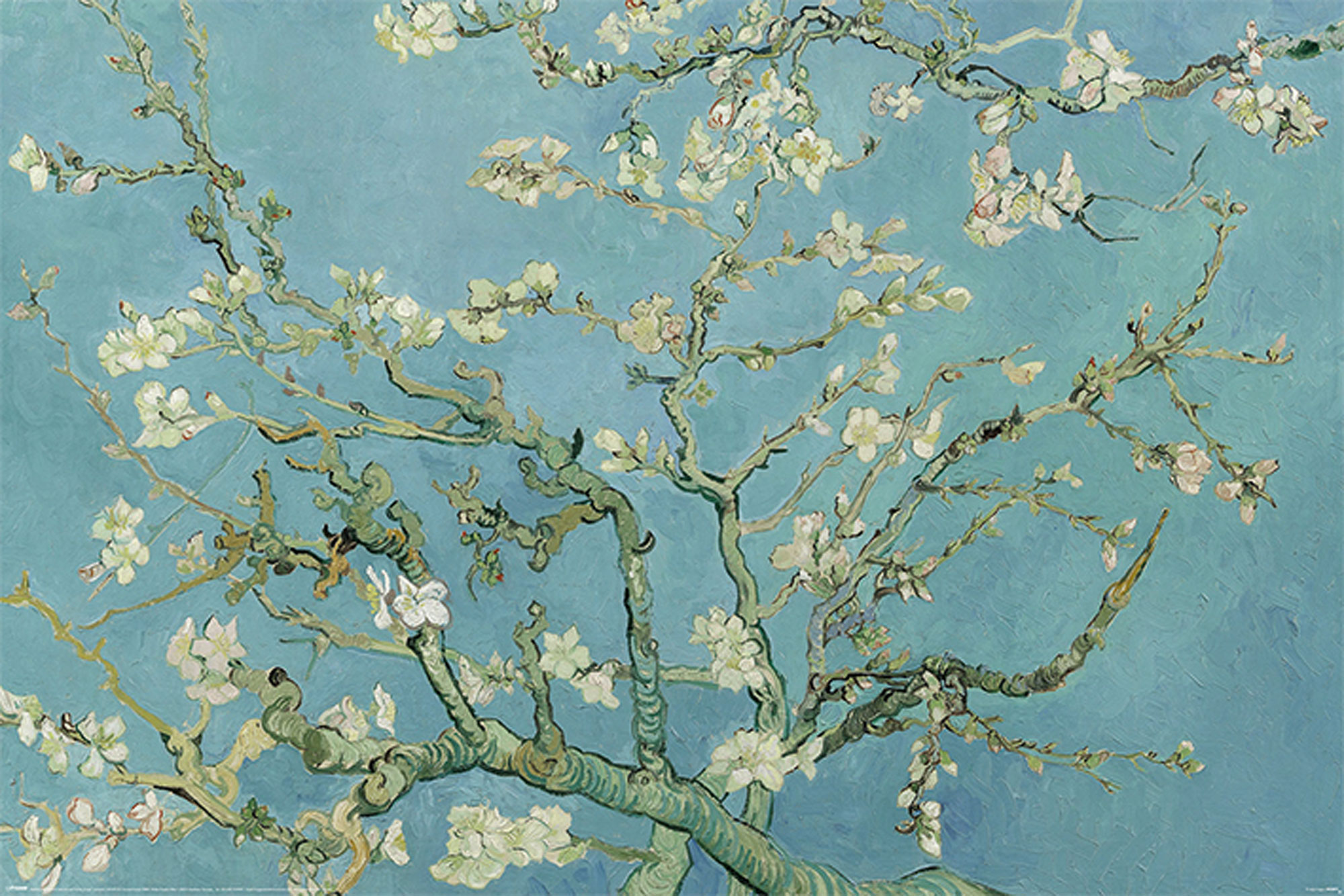 Gogh, Blossom - Almond Vincent Van