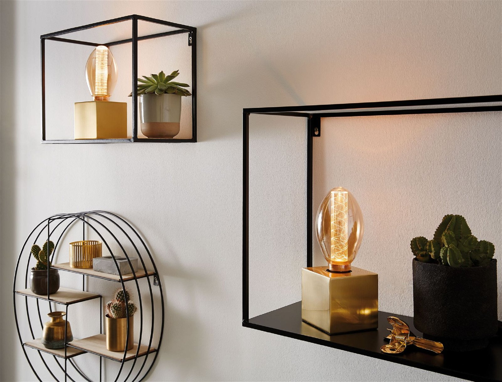 Biała ściana z czarnymi półkami. Na półkach są lampy i rośliny.