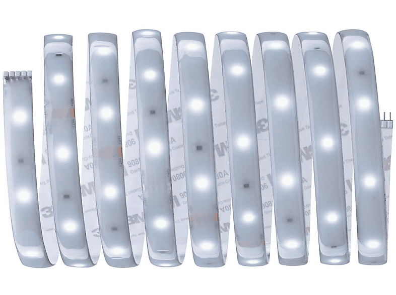 250 MaxLED Kaltweiß (79875) PAULMANN LICHT LED Strips