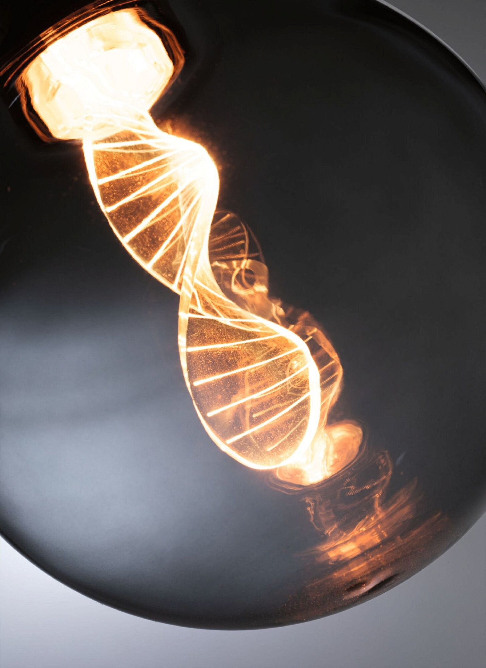 Zbliżenie żarówki ze świecącym włóknem w kształcie helisy.