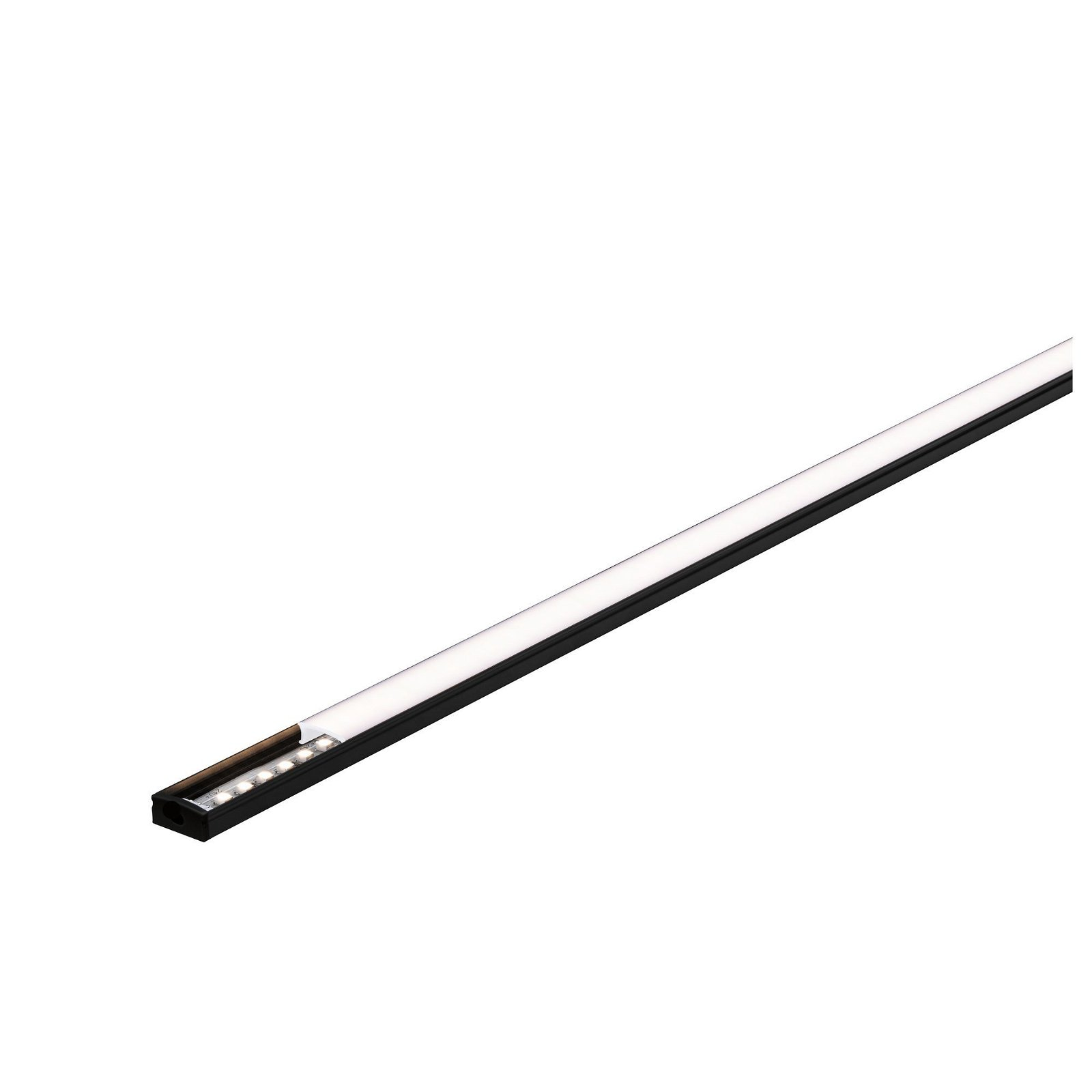 Kilka żarówek wisi z góry wśród zieleni i kwiatów, z białymi drzwiami.