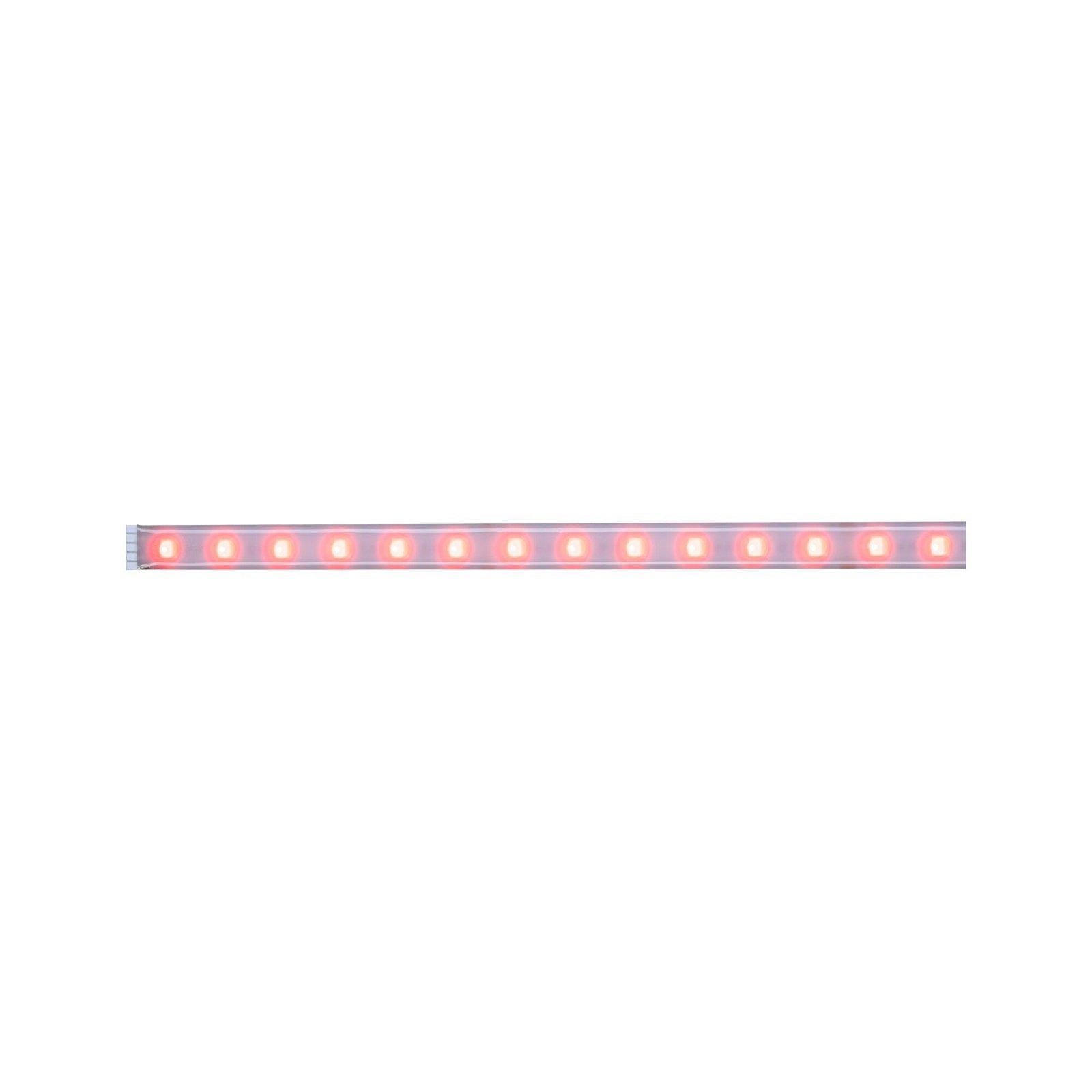 PAULMANN LICHT Farbwechsel LED RGBW|Tunable (70634) MaxLED Strips White 500