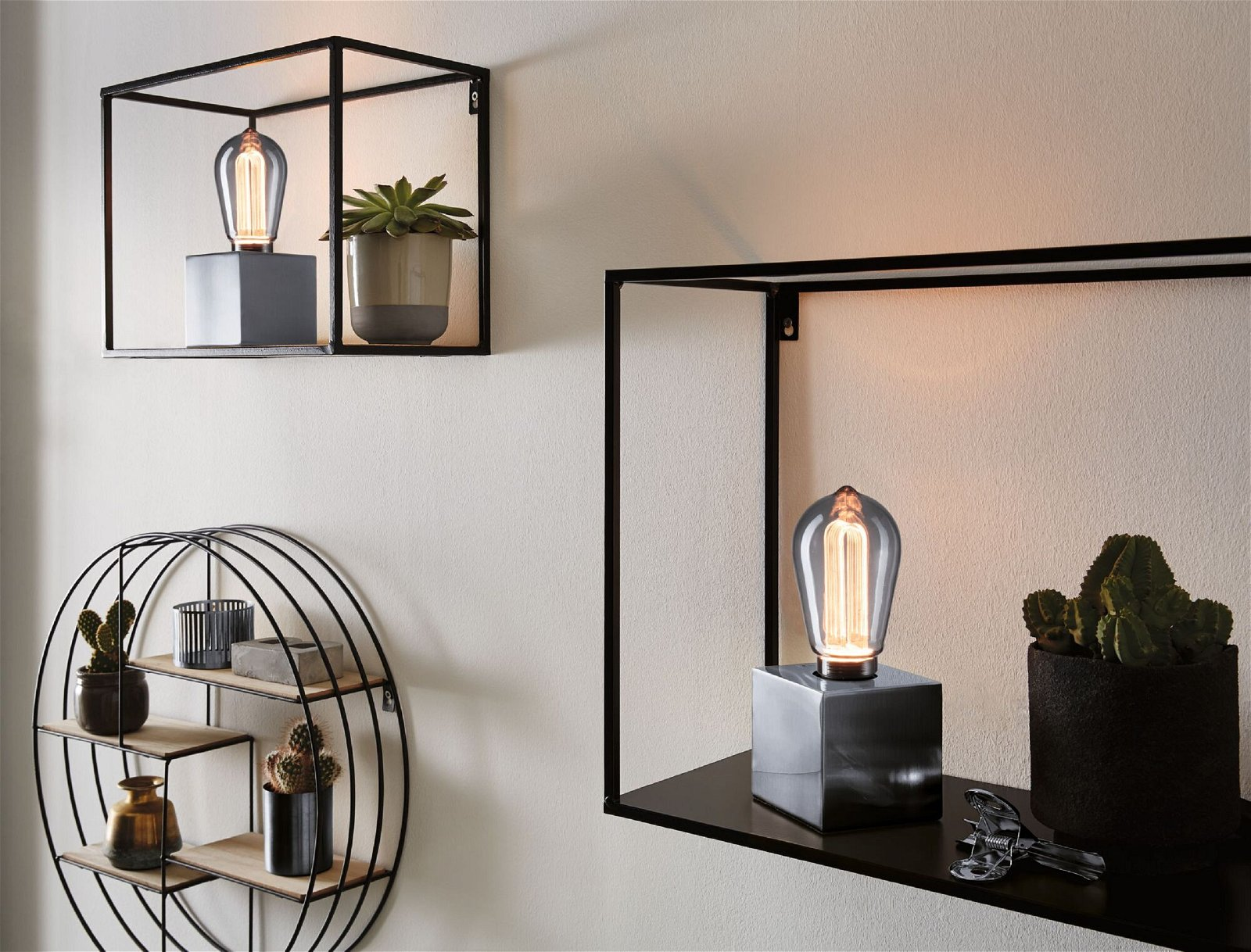 Eine Wand mit Regalen und Gegenständen. Auf den Regalen befinden sich Lampen, Pflanzen und Dekorationsgegenstände.