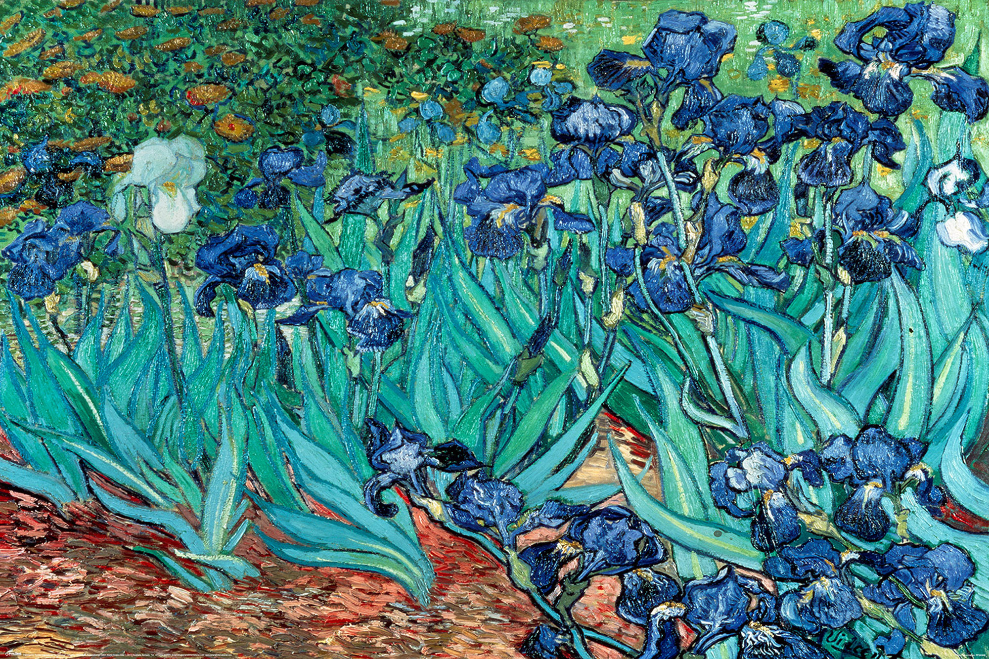 Impressionistisches Gemälde von blauen Schwertlilien in einem Feld mit grünem Laub.