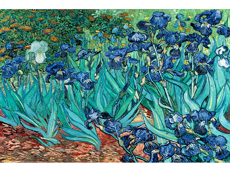 Van Gogh - Les Irises | SATURN