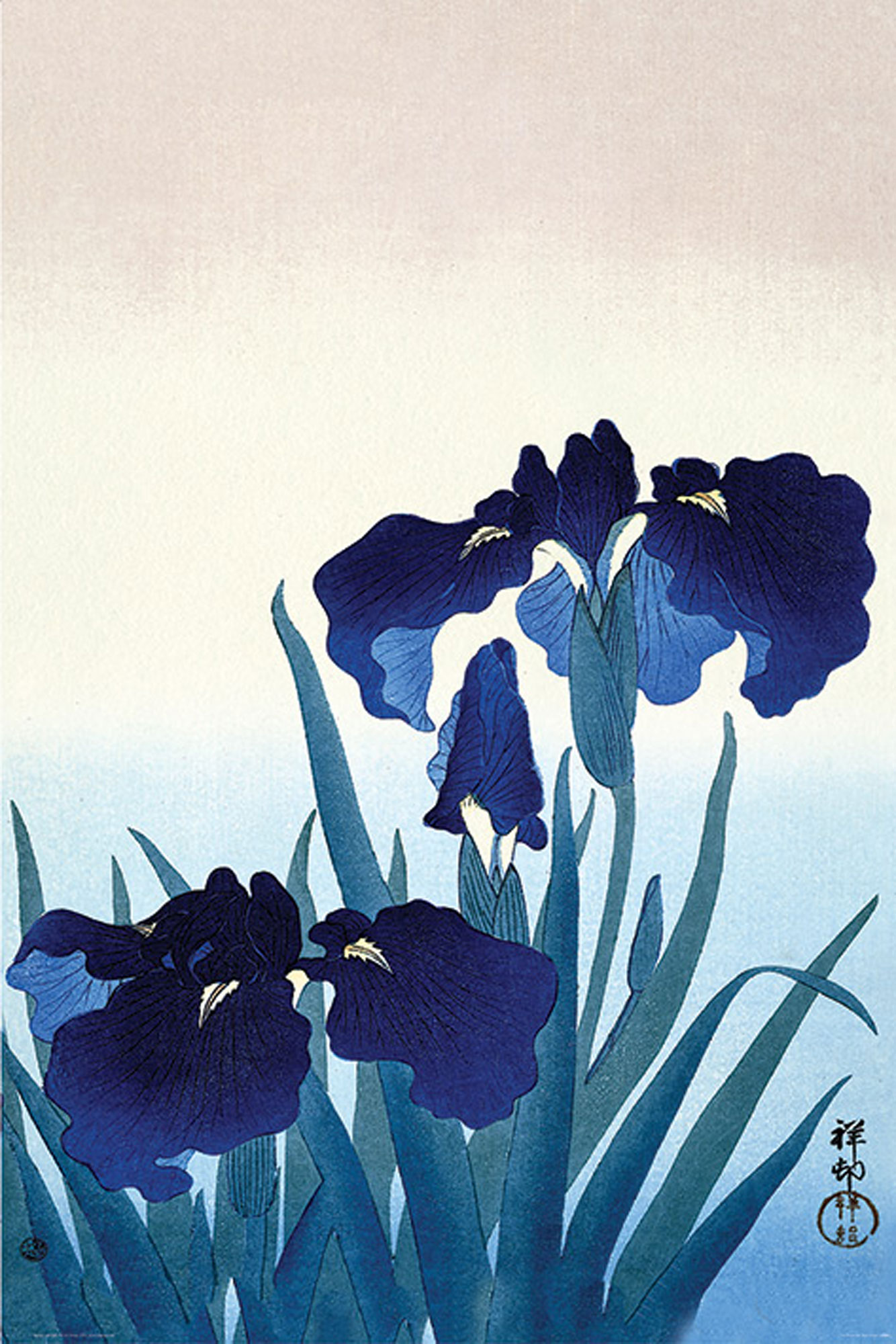 Ohara Koson - Iris Flowers