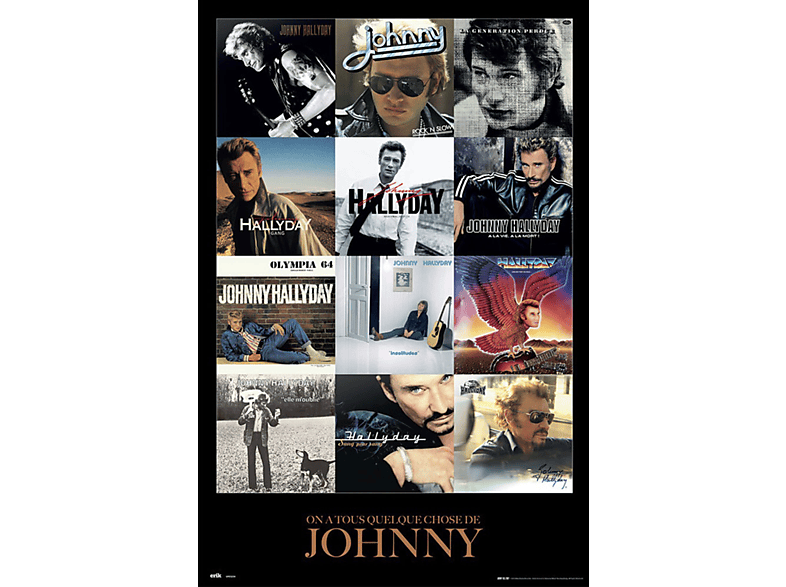 Hallyday, Covers - Johnny