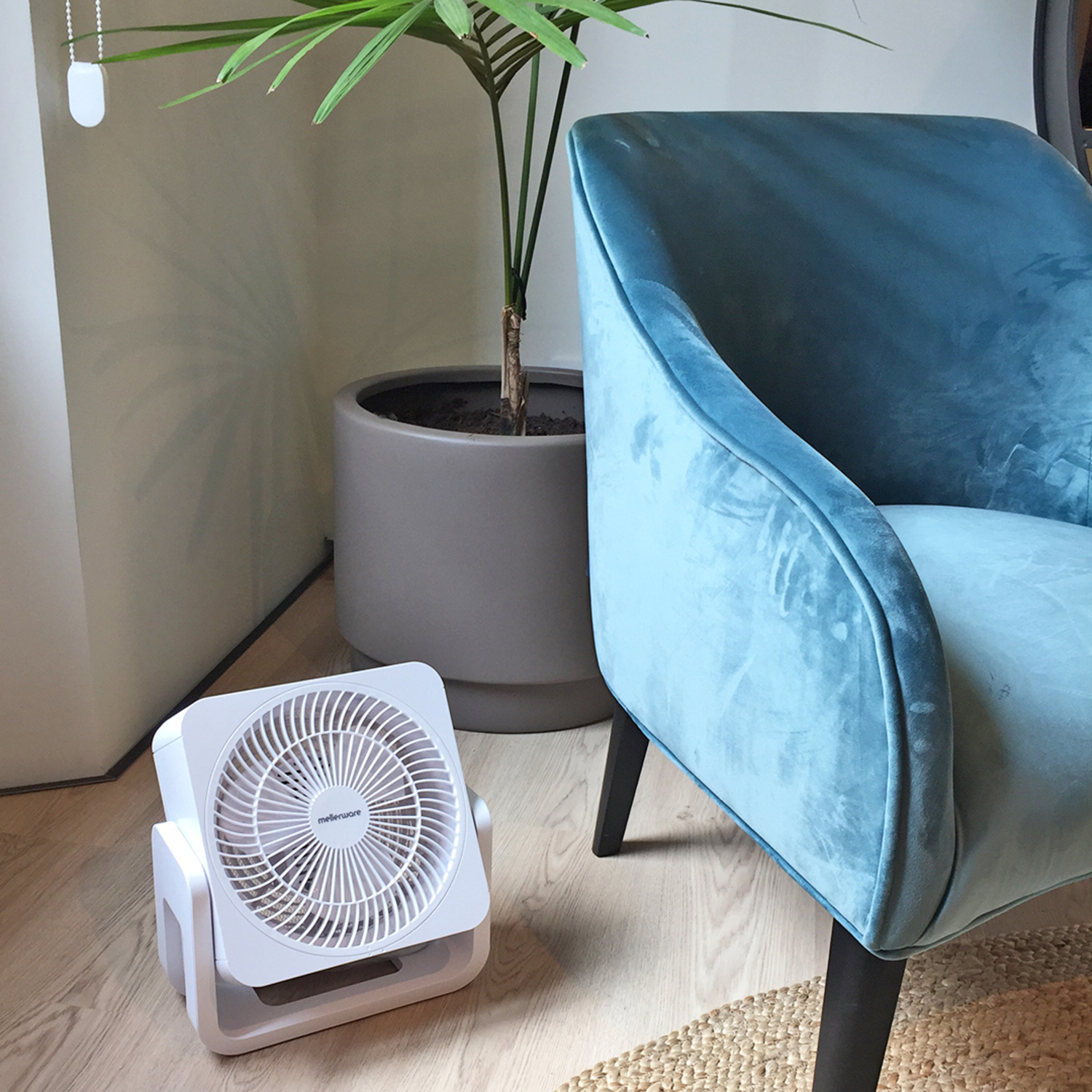 Ventilatore bianco, sedia blu e pianta in vaso grigio, su pavimento in legno.