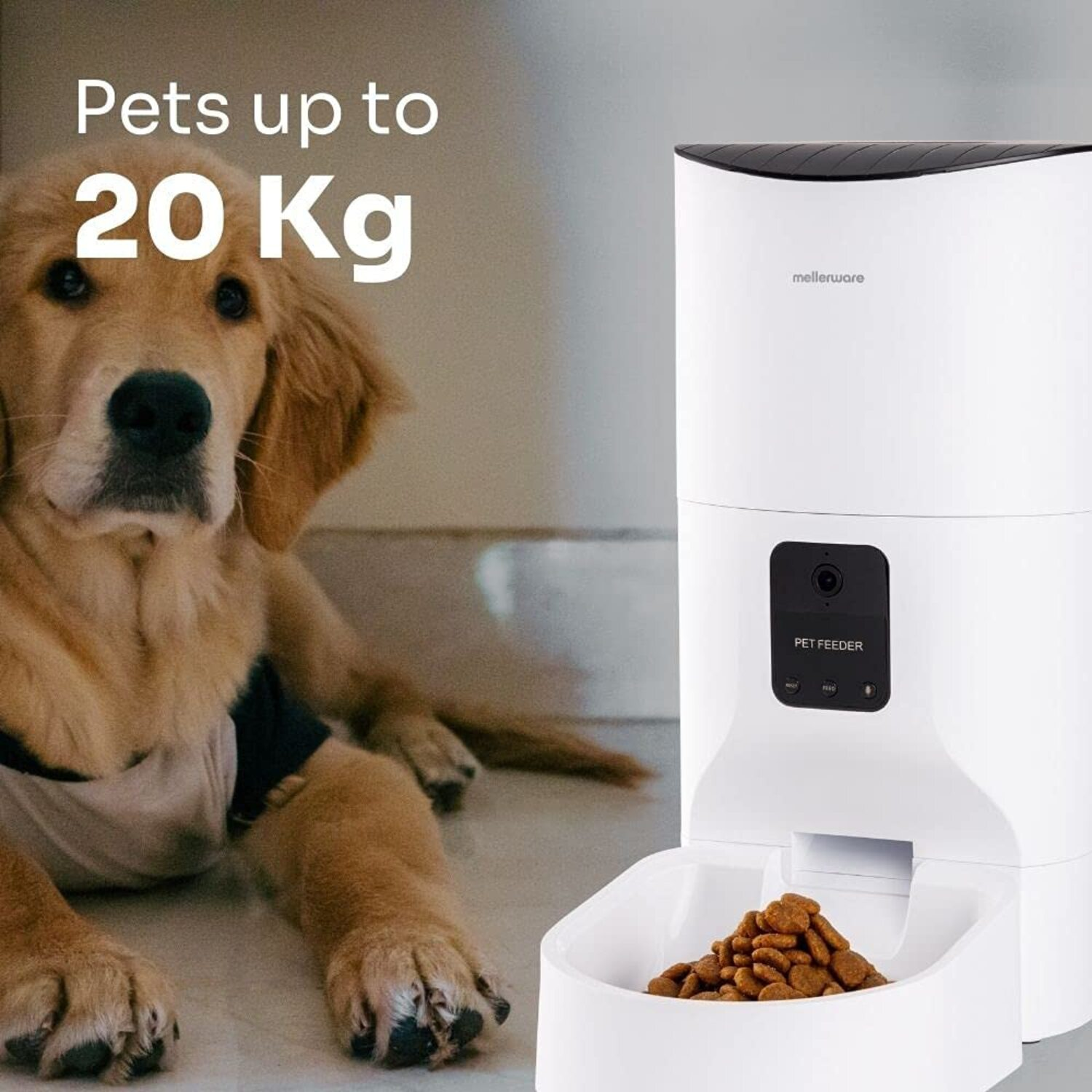 Perro Golden Retriever cerca de un comedero automático blanco que dispensa comida en un cuenco, el texto dice 'Pets up to 20 Kg'.
