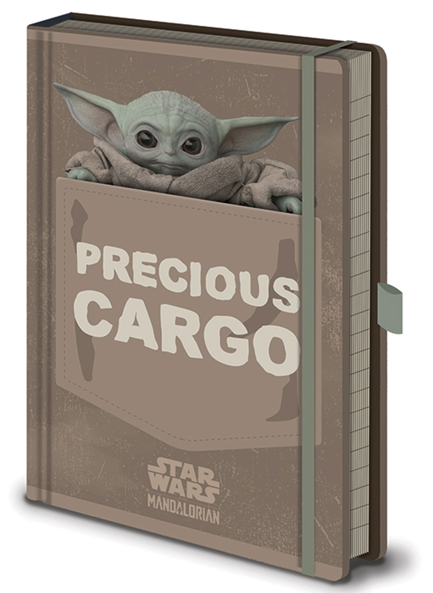 Star Wars - The Mandalorian - Precious Cargo
