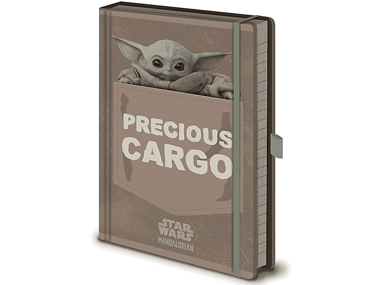 Star Wars - The Mandalorian -  Precious Cargo