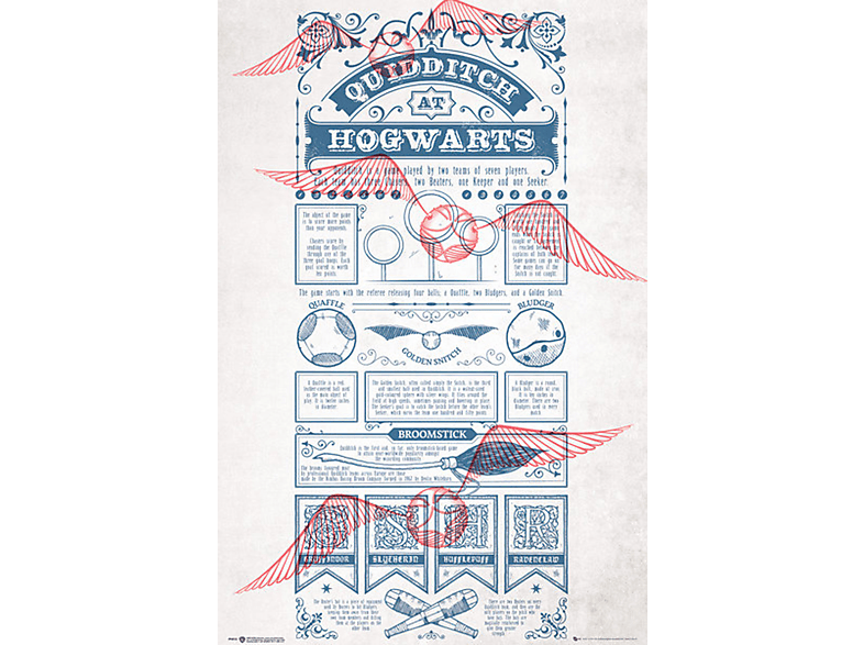 Harry Potter - Quidditch At Hogwarts