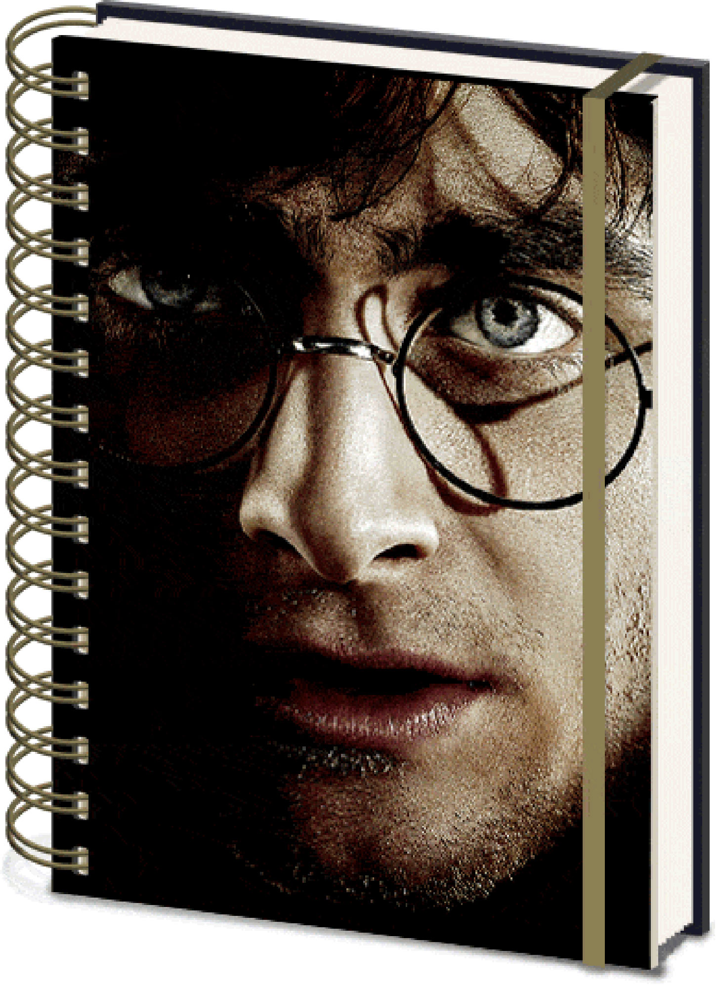 Harry Potter - Harry 3D & Voldemort Cover