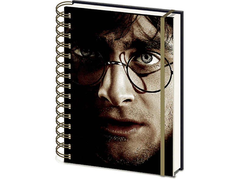 Harry Potter - Harry & 3D Voldemort Cover