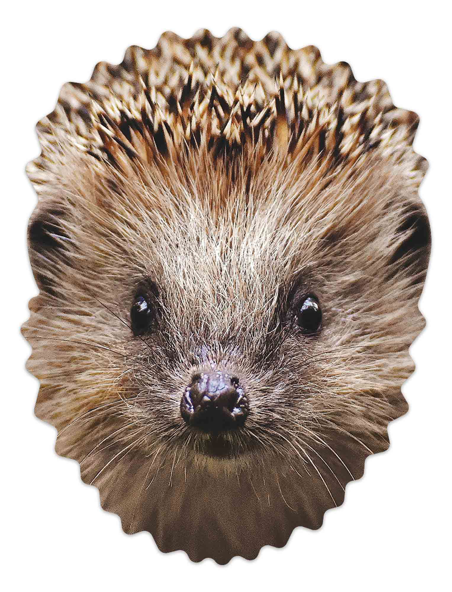 Hedgehog Tier Maske -