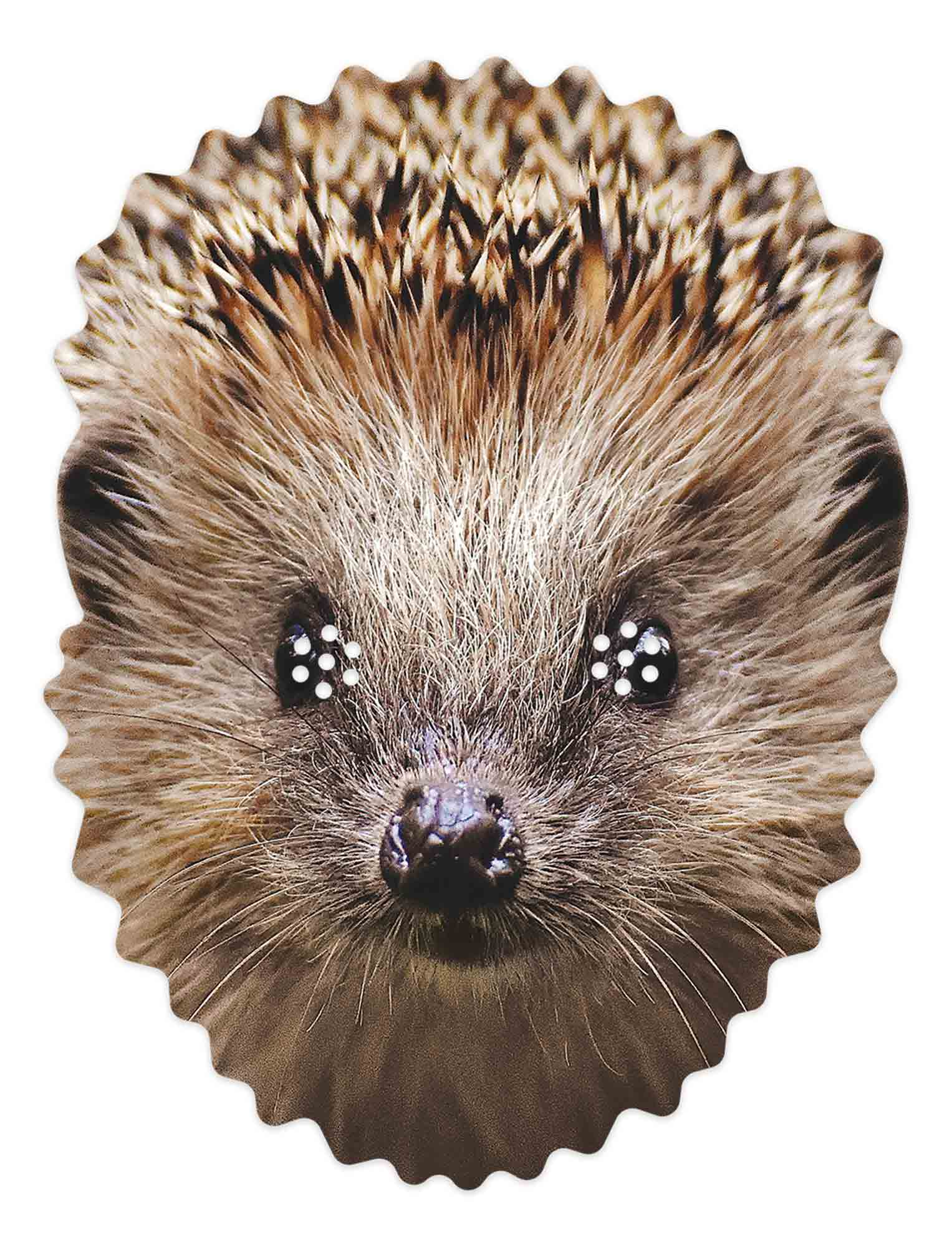 - Hedgehog Maske Tier