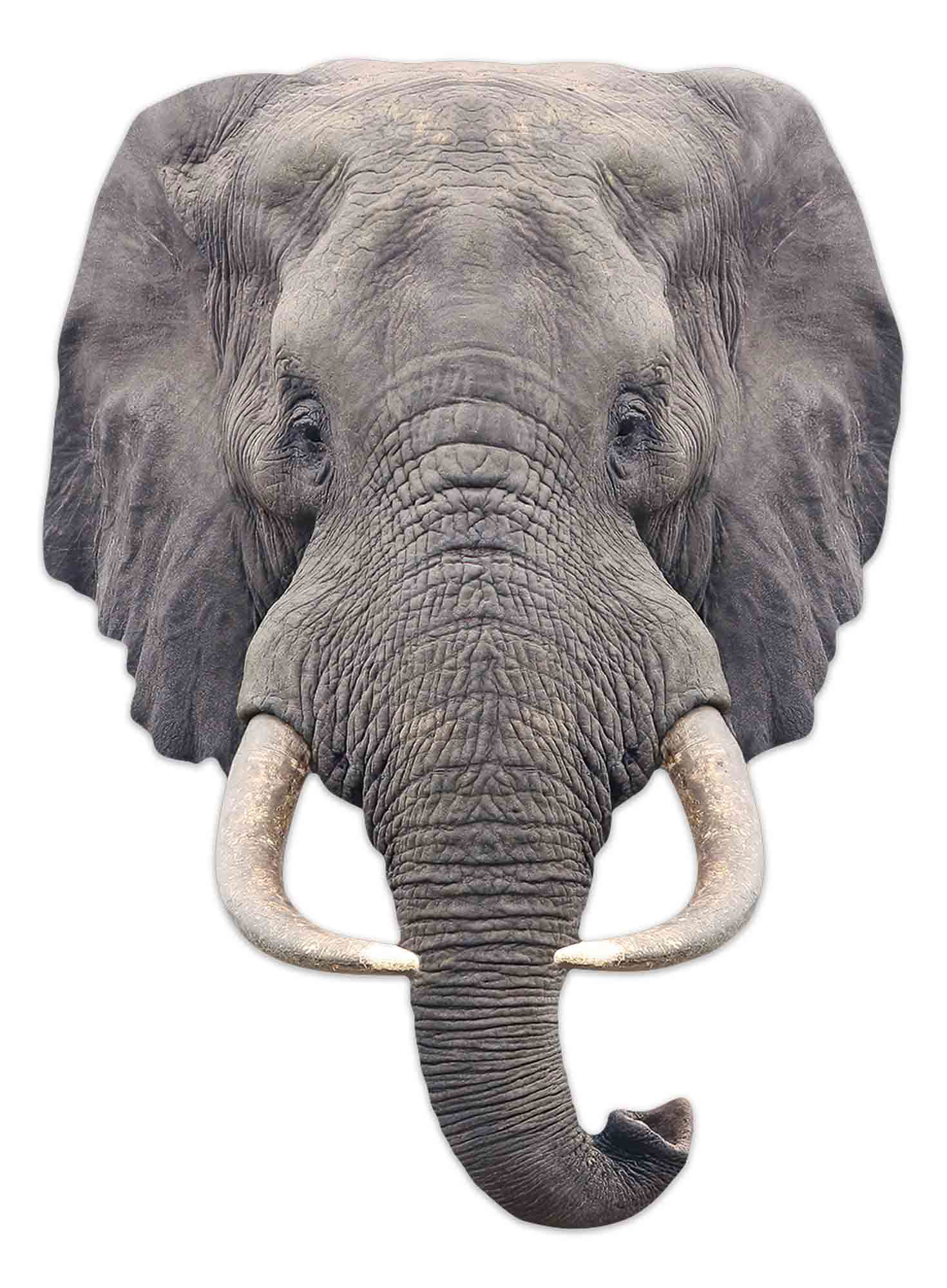 Tier Maske - Elephant