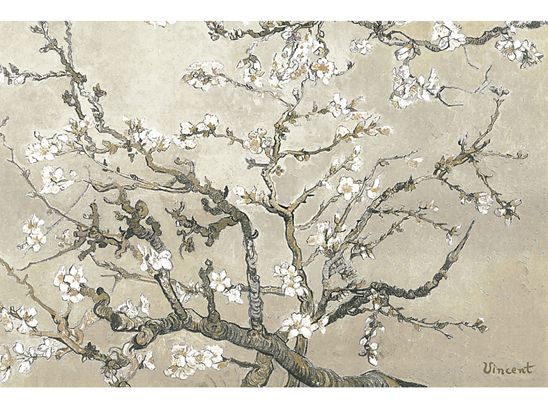 Van Gogh, Vincent - Almond Branches Tan