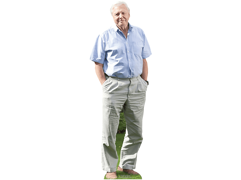 David Attenborough - Star Mini Pappaufsteller