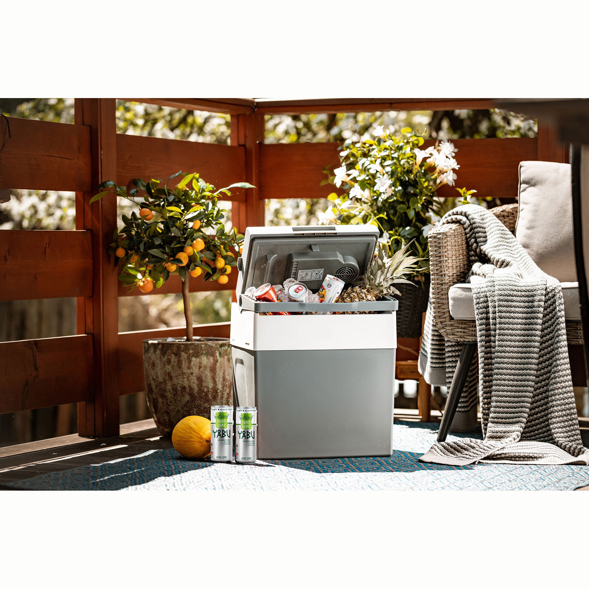 Ustawienie na zewnątrz z chłodziarką, małym drzewkiem i krzesłem na tarasie.