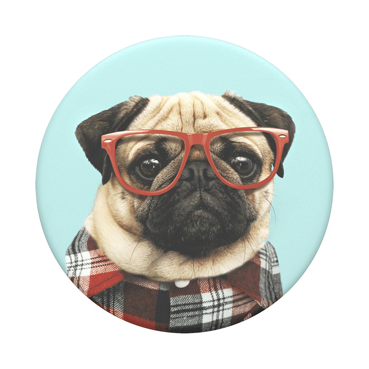 Ein Mops mit roter Brille und kariertem Hemd auf einem hellblauen Kreis.