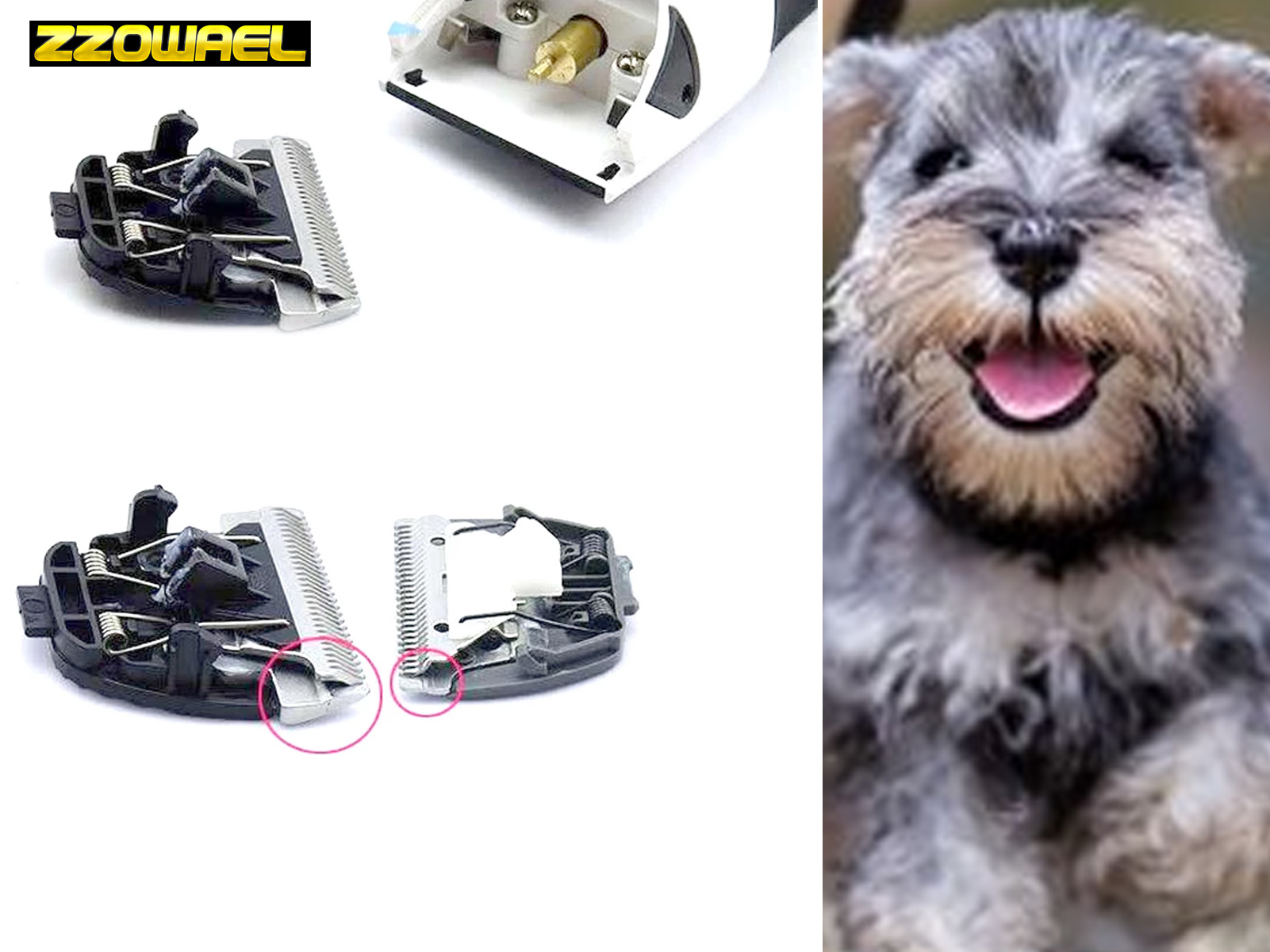 Primer plano de herramientas de aseo para perros y un perro feliz, sonriente, con la lengua fuera.