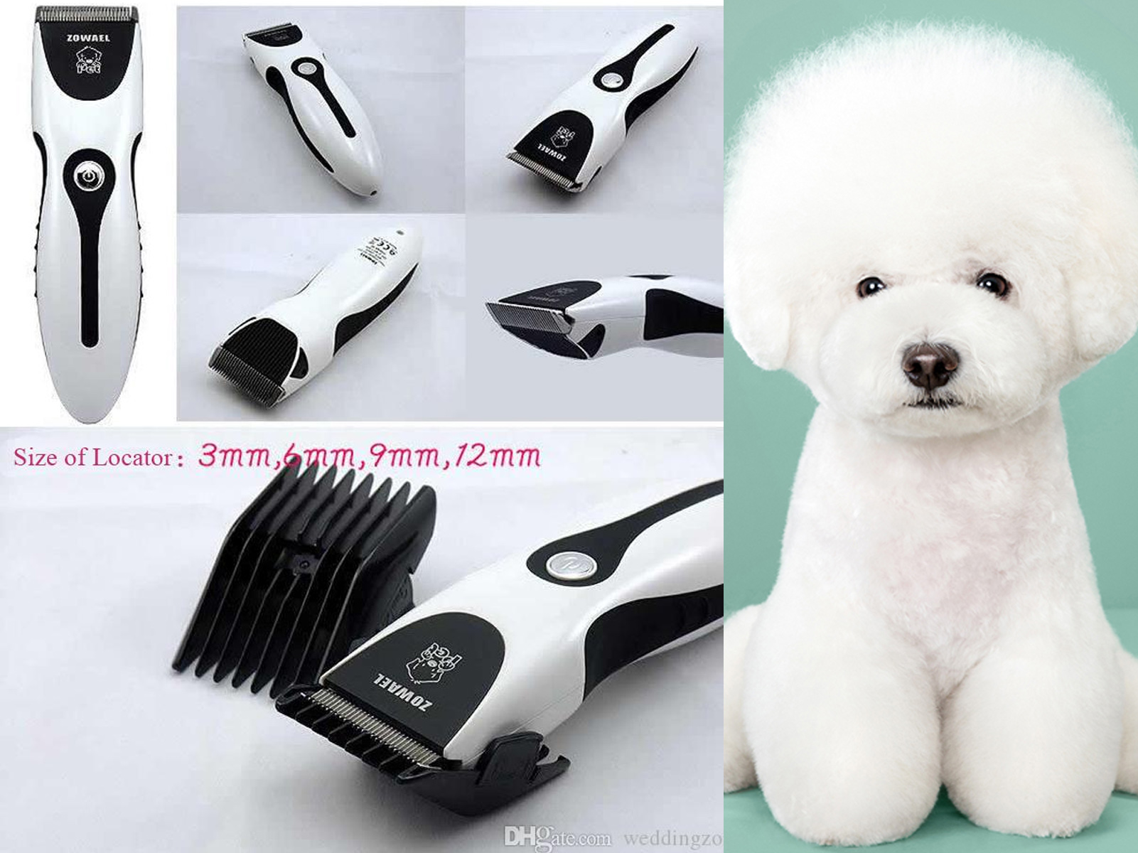 Un collage de herramientas de aseo y un perro blanco y esponjoso con un corte de pelo perfecto.
