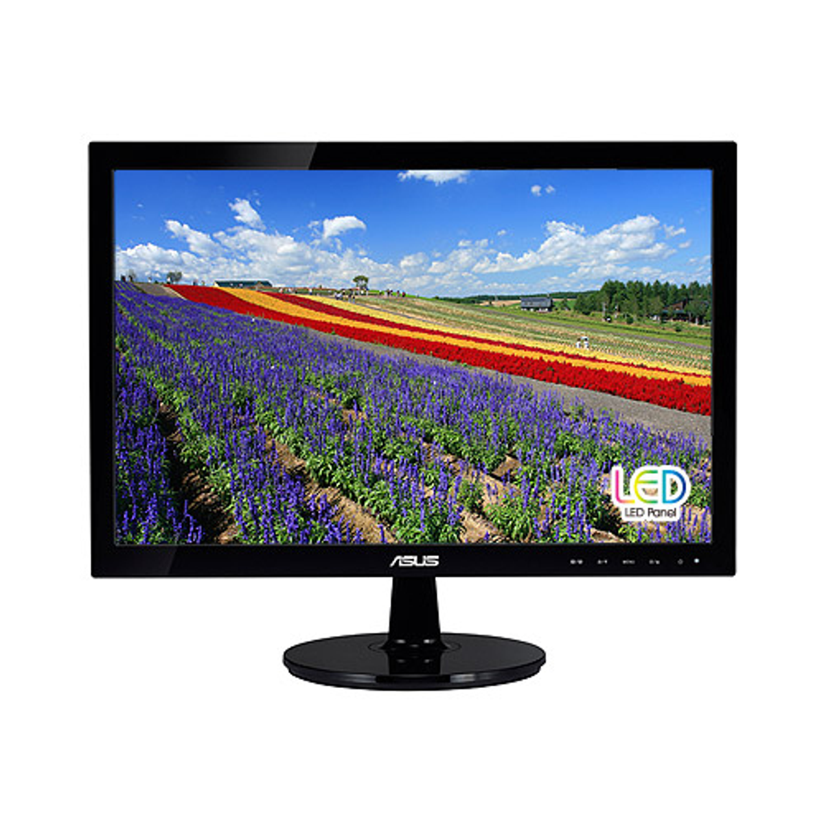 Monitor - VS197DE ASUS, 18,5 ", HD-ready, 5 ms, 1x D-Sub., Negro