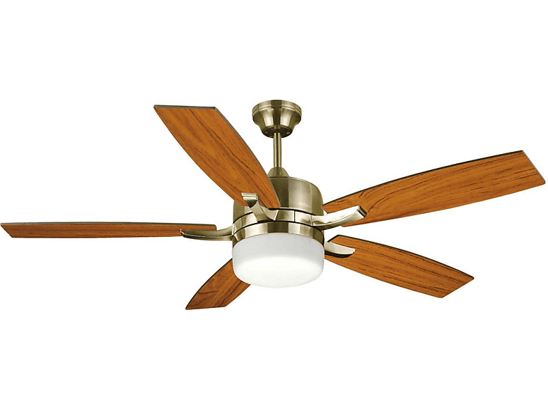 Ventilador de techo CON LUZ - BASTILIPO Bastilipo - Adra Cuero LED (132cm) - Ventilador de techo 3 velocidades con mando a distancia y