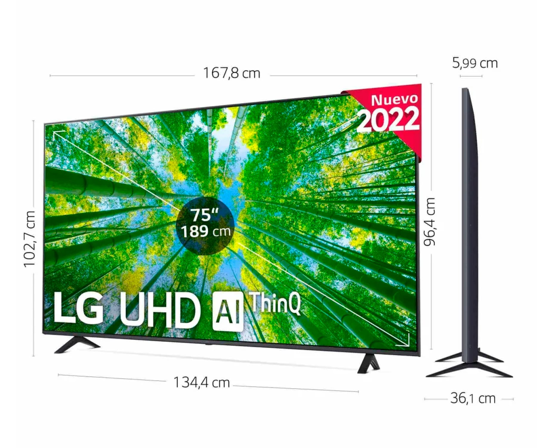 Duży telewizor z płaskim ekranem z wymiarami i obrazem zielonego lasu.