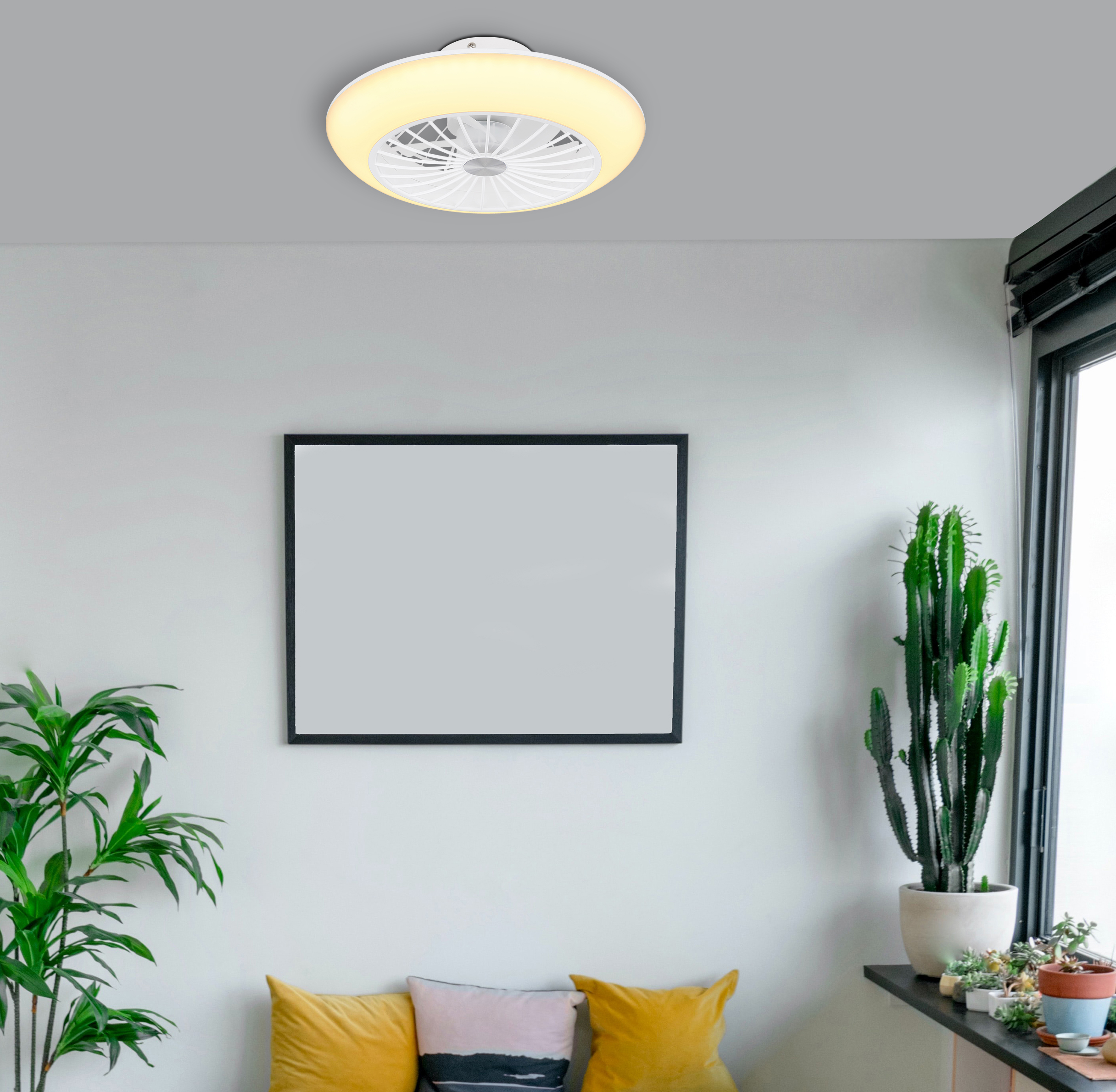 Deckenventilator mit Leuchte. Ein Bilderrahmen, Kaktus und andere Pflanzen sind im Raum sichtbar.
