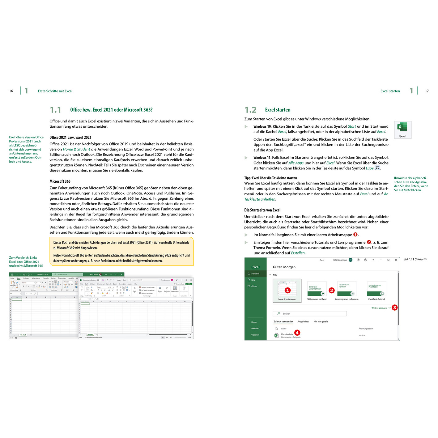 Seite aus einem Buch über Microsoft Office, mit Überschriften und Screenshots von Excel.