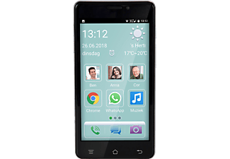 FYSIC F101 - Einfaches Senioren-Mobiltelefon mit 5" Touch-Display, extra großen Symbolen und Text - 2 GB Schwarz Dual SIM