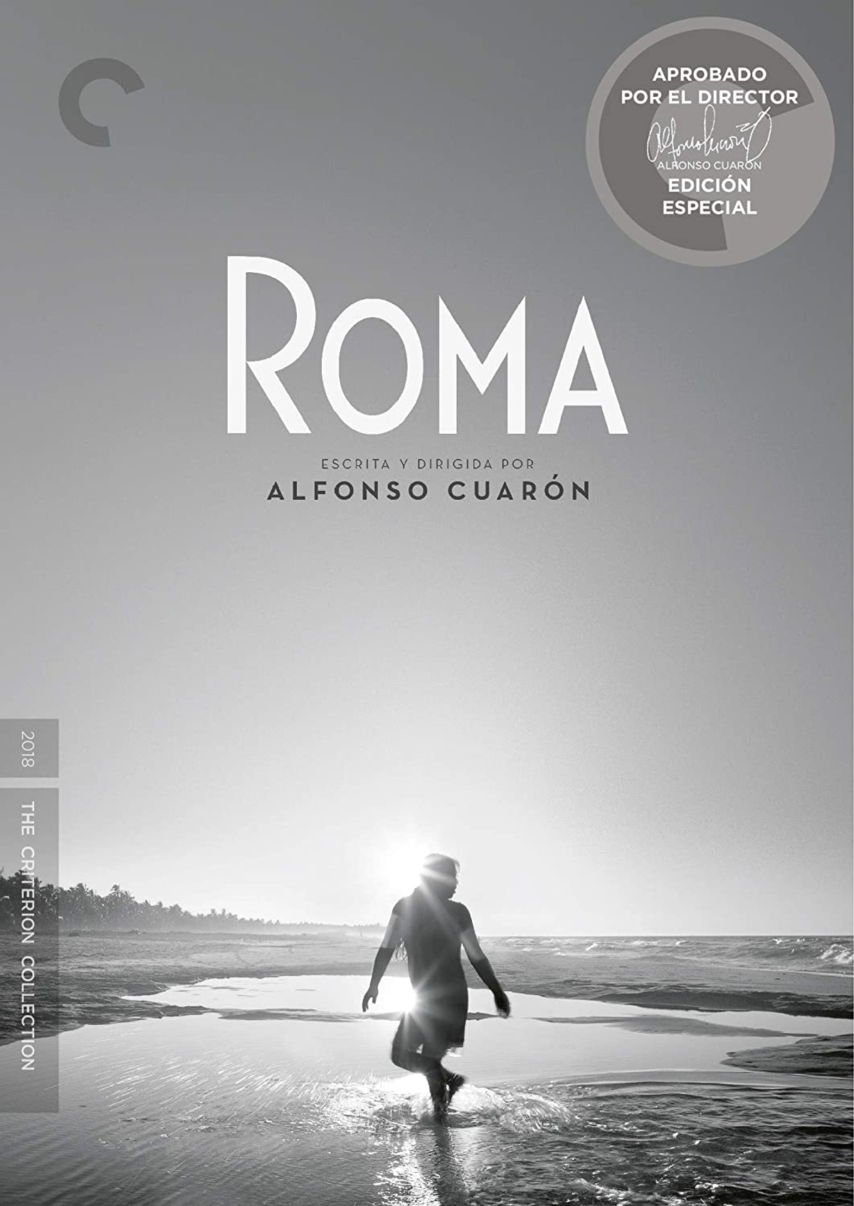 Portada de la película: Persona en el agua, título "Roma", fondo de playa.