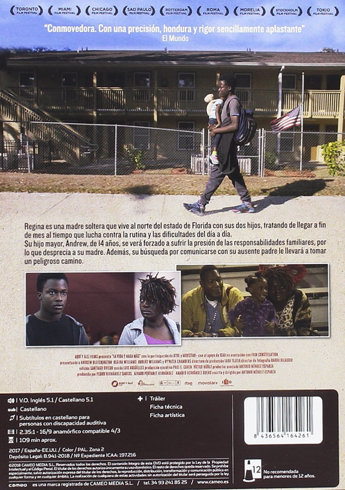 Parte trasera de una caja de DVD que muestra a un hombre negro cargando un bebé. Texto en español sobre una madre soltera y dos hijos.
