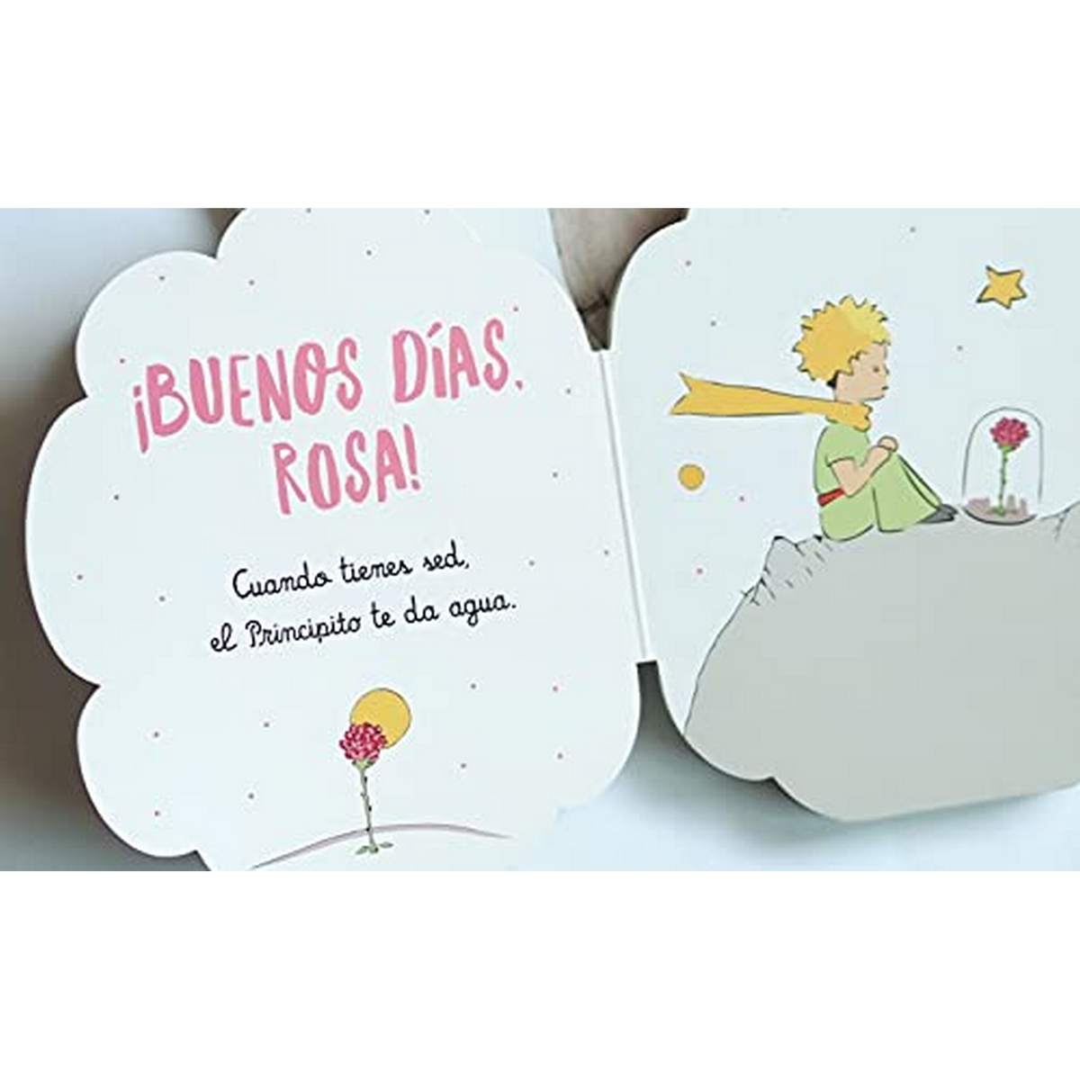 Un libro infantil, con el Principito y una ilustración de una rosa. Texto en español.