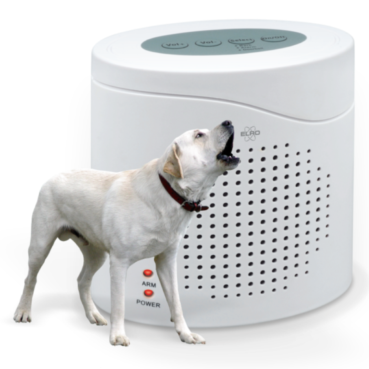 Bildbeschreibung ist nicht vorhanden