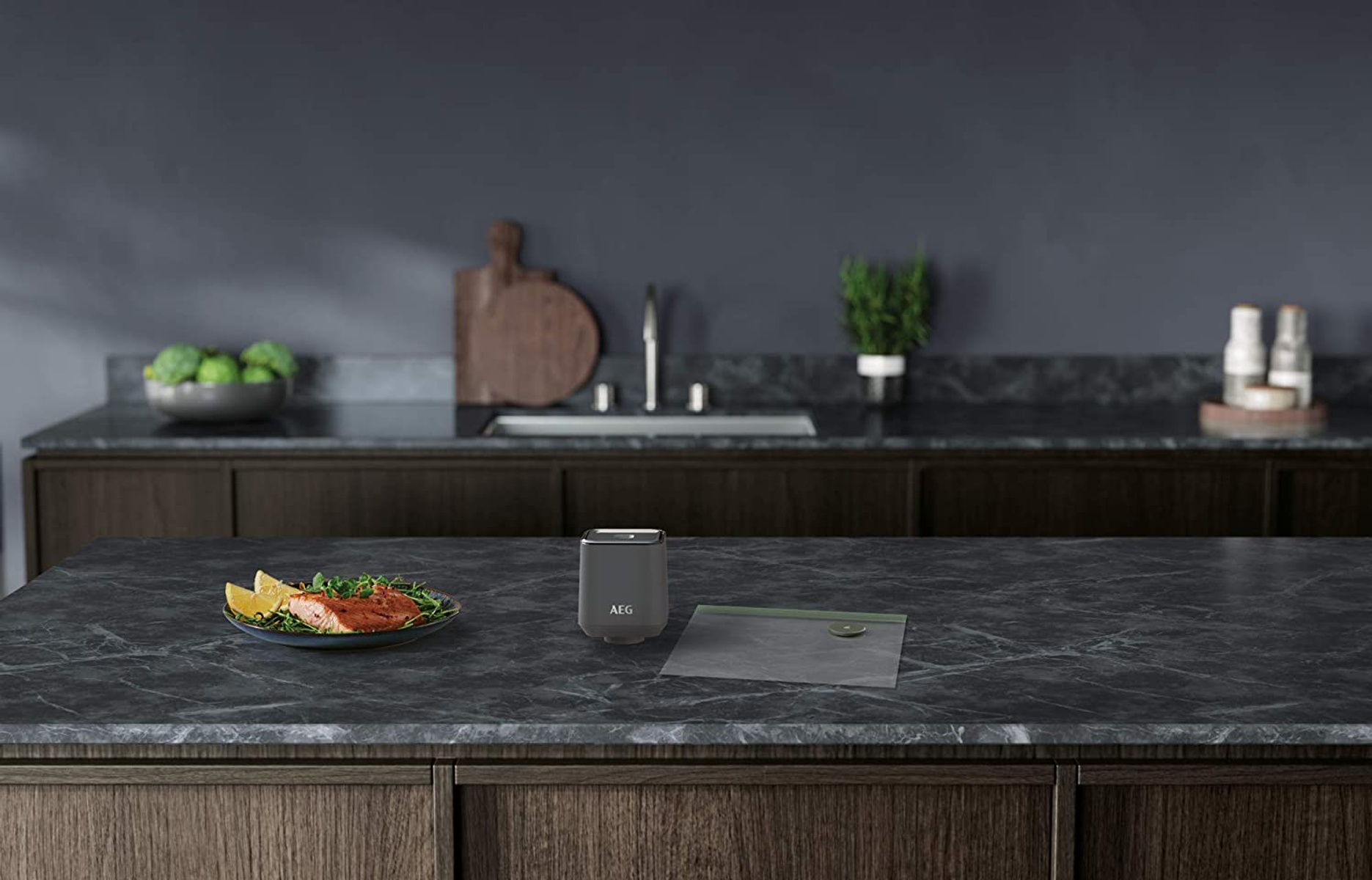 Encimera de cocina con salmón, una envasadora al vacío y una bolsa de alimentos.