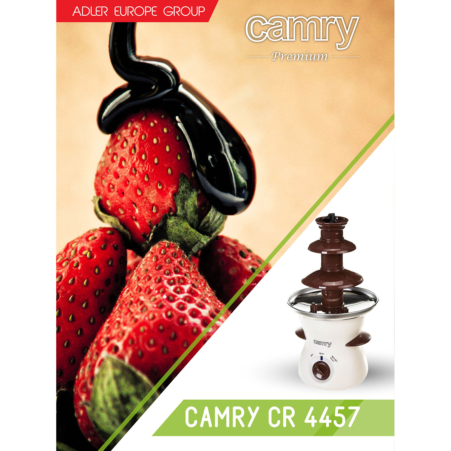 Erdbeeren mit Schokolade und ein Schokoladenbrunnen daneben. Camrys-Logo ist vorhanden.