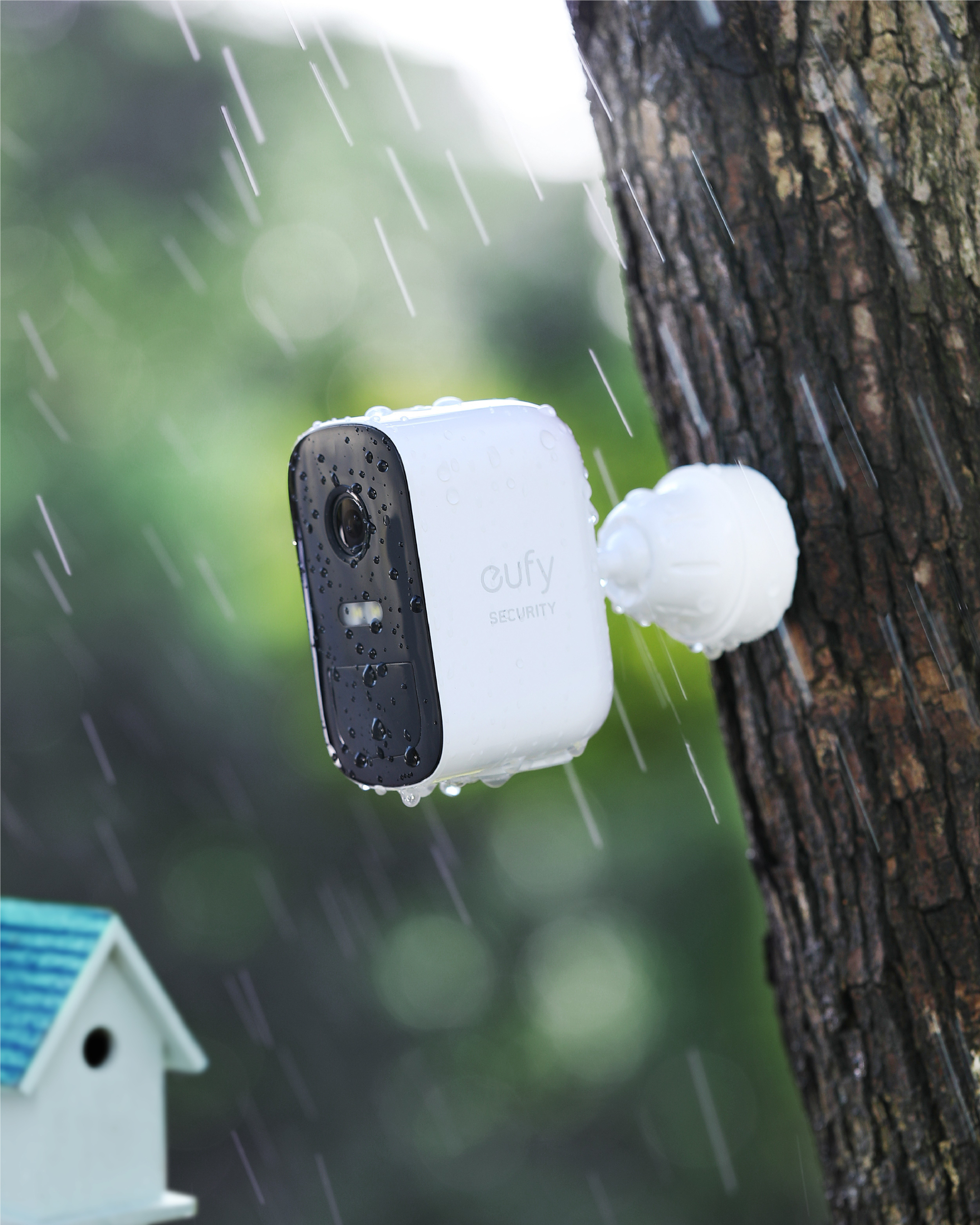 Weiße Überwachungskamera an einem Baum befestigt. Es regnet. Ein kleines Vogelhaus ist im Hintergrund.