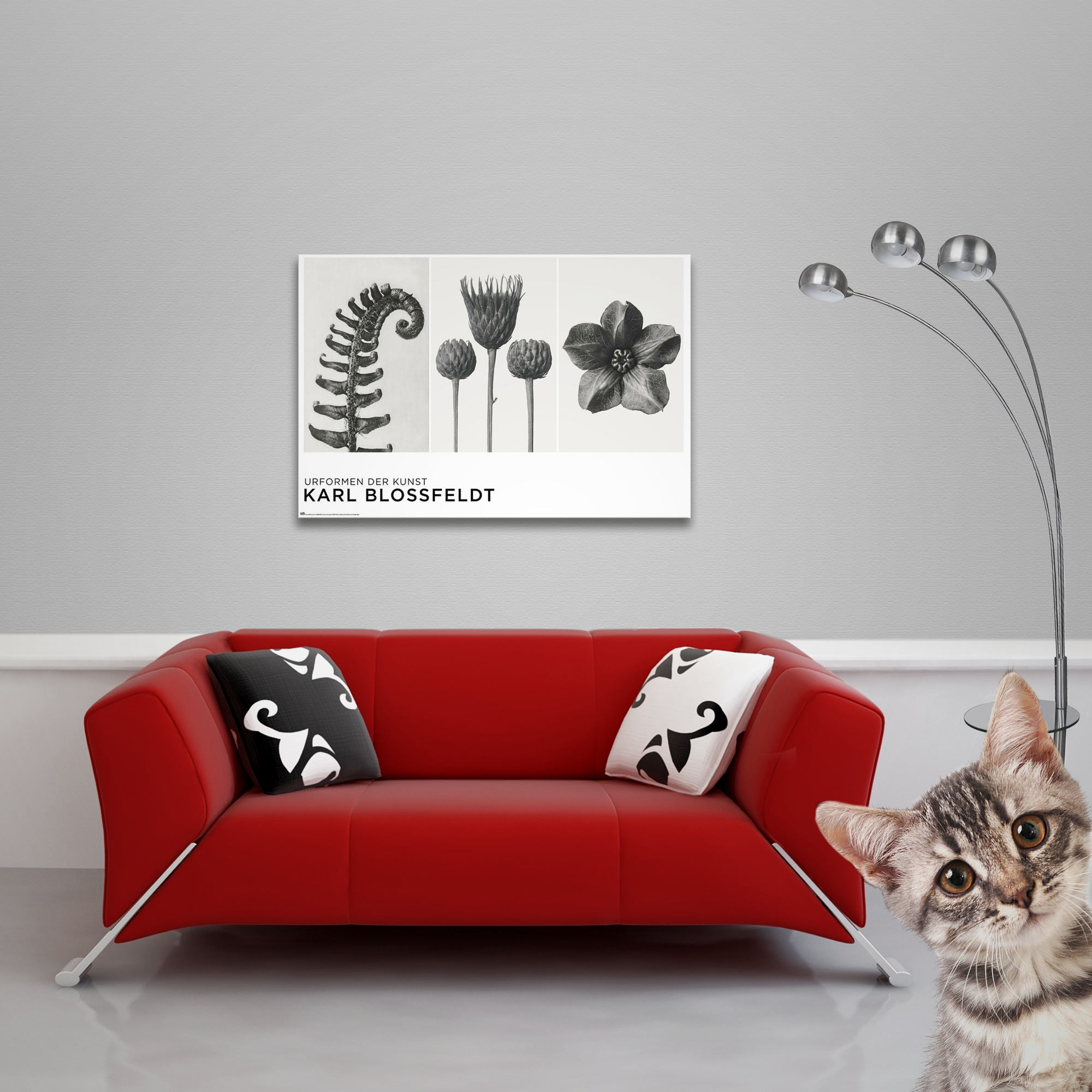 Ein rotes Sofa, ein Bild und eine Katze. Das Bild ist schwarz-weiß, floral, und die Katze schaut in die Kamera.
